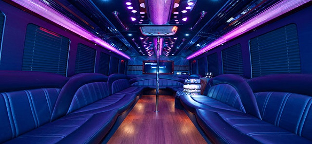 Party_bus3 Buses